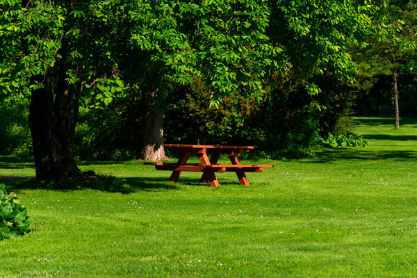 Picnic wooden benches in park, springtime in Donaupark in Vienna, Austria.
