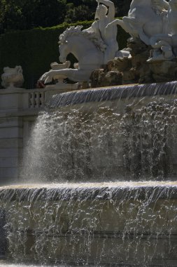 31 Mayıs 2019 - Viyana, Avusturya - Neptunbrunnen (Neptün çeşmesi) Schonbrunn sarayında. Güneşli bahar günü