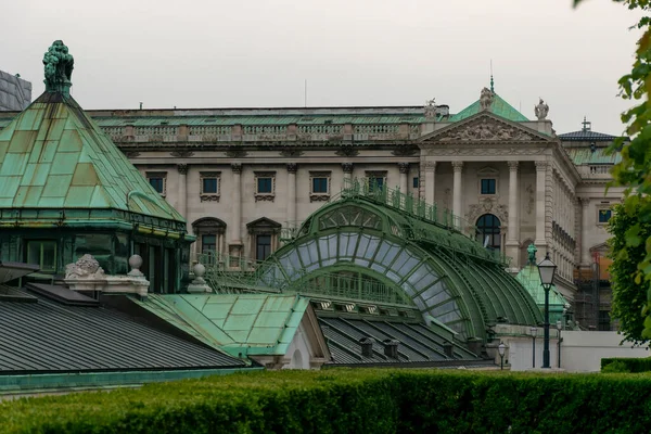 Μαΐου 2019 Βιέννη Αυστρία Schmetterlinghaus Palmenhaus Hofburg Palace Butterfly House — Φωτογραφία Αρχείου