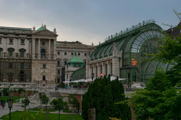 Mayo 2019 Viena Austria Schmetterlinghaus Palmenhaus Del Palacio Hofburg Butterfly —  Fotos de Stock