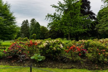 31 Mayıs 2019 Viyana, Avusturya - Schonbrunn Sarayı Forman Bahçeleri. Bahar zamanı bulutlu gün