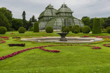 31 Mayıs 2019 Viyana, Avusturya - Schonbrunn bahçelerindeki Palmenhaus binası. (Palm house) Demir ve camdan yapılmış. Düzenli çimenler ve bulutlu bir gün