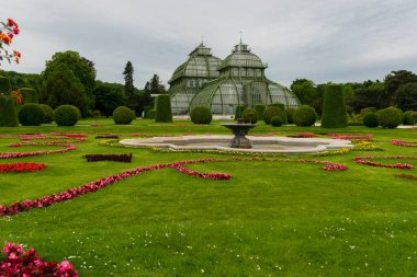 31 Mayıs 2019 Viyana, Avusturya - Schonbrunn bahçelerindeki Palmenhaus binası. (Palm house) Demir ve camdan yapılmış. Düzenli çimenler ve bulutlu bir gün