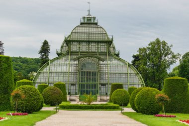 31 Mayıs 2019 Viyana, Avusturya - Schonbrunn bahçelerindeki Palmenhaus binası. (Palm house) Demir ve camdan yapılmış. Düzenli çimenler ve bulutlu bir gün