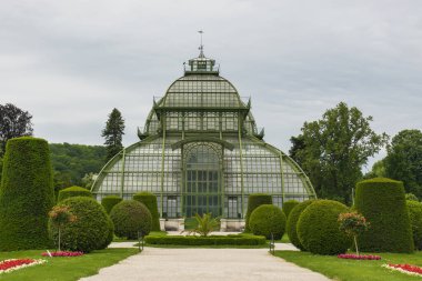 31 Mayıs 2019 Viyana, Avusturya - Schonbrunn bahçelerindeki Palmenhaus binası. (Palm house) Demir ve camdan yapılmış. Düzenli çimenler ve bulutlu bir gün