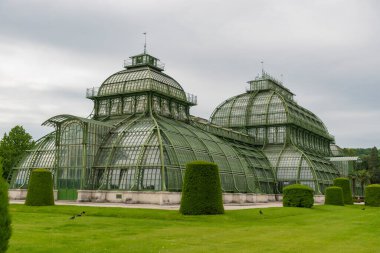 31 Mayıs 2019 Viyana, Avusturya - Schonbrunn bahçelerindeki Palmenhaus binası. (Palm house) Demir ve camdan yapılmış. Düzenli çimenler ve bulutlu bir gün