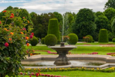 31 Mayıs 2019 Viyana, Avusturya - Schonbrunn Sarayı Forman Bahçeleri. Bahar zamanı bulutlu gün