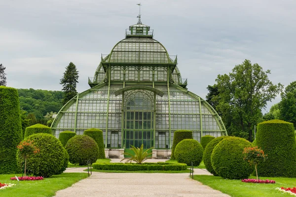 Mayıs 2019 Viyana Avusturya Schonbrunn Bahçelerindeki Palmenhaus Binası Palm House Telifsiz Stok Fotoğraflar