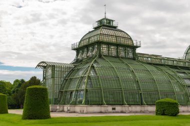 31 Mayıs 2019 Viyana, Avusturya - Schonbrunn bahçelerindeki Palmenhaus binası. (Palm house) Demir ve camdan yapılmış. Düzenli çimenler ve bulutlu bir gün