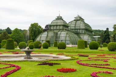 31 Mayıs 2019 Viyana, Avusturya - Schonbrunn bahçelerindeki Palmenhaus binası. (Palm house) Demir ve camdan yapılmış. Düzenli çimenler ve bulutlu bir gün