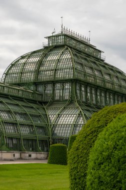 31 Mayıs 2019 Viyana, Avusturya - Schonbrunn bahçelerindeki Palmenhaus binası. (Palm house) Demir ve camdan yapılmış. Düzenli çimenler ve bulutlu bir gün