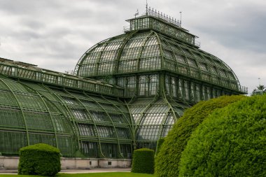 31 Mayıs 2019 Viyana, Avusturya - Schonbrunn bahçelerindeki Palmenhaus binası. (Palm house) Demir ve camdan yapılmış. Düzenli çimenler ve bulutlu bir gün