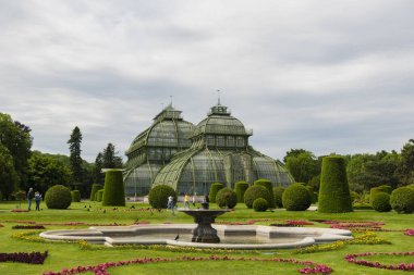 31 Mayıs 2019 Viyana, Avusturya - Schonbrunn bahçelerindeki Palmenhaus binası. (Palm house) Demir ve camdan yapılmış. Düzenli çimenler ve bulutlu bir gün