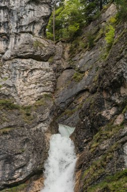 Pollatschlucht (Pollat şelalesi) Bavyera Alp ormanlarındaki Neuschwnstein şatosu yakınlarında. Alplerde İlkbahar