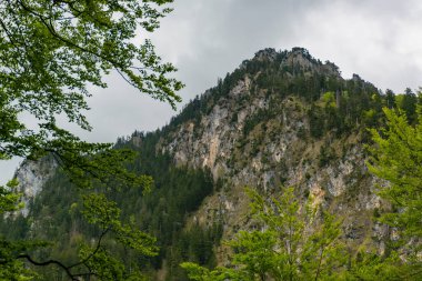 Neuschwanstein kalesi ve Hohenschwangau kalesi yakınlarındaki Alp ormanları. Bahar zamanı Bavyera Alpleri, Tegelberg Dağı.