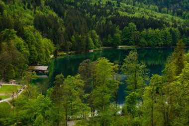 26 Mayıs 2019 Fussen, Almanya - Hohenschwangau kalesi Alp Dağları arasında. 