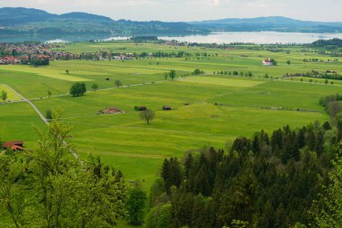 Neuschwanstein kalesi ve Hohenschwangau kalesi yakınlarındaki Alp ormanları. Bahar zamanı Bavyera Alpleri, Tegelberg Dağı.