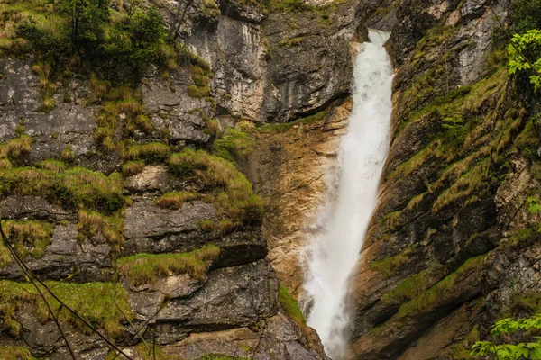 Pollatschlucht Pollat Vattenfall Nära Neuschwnstein Slott Bayern Alpin Skog Våren — Stockfoto