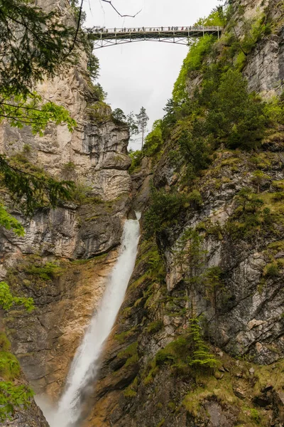 Pollatschlucht Pollat Vattenfall Nära Neuschwnstein Slott Bayern Alpin Skog Våren — Stockfoto