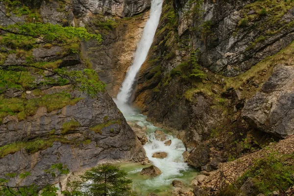 バイエルンのアルパインの森のノイシュンシュタイン城の近くにあるPollatschlucht ポラット滝 アルプスの春 — ストック写真