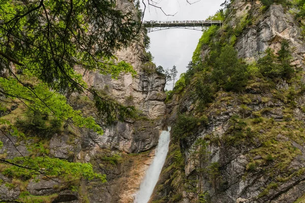 Pollatschlucht Pollat Vattenfall Nära Neuschwnstein Slott Bayern Alpin Skog Våren — Stockfoto