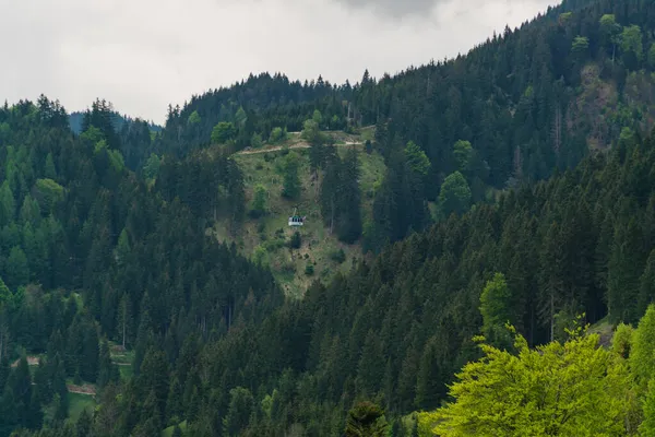 Alpesi Erdő Neuschwanstein Kastély Hohenschwangau Kastély Közelében Bajor Alpok Tavasszal — Stock Fotó