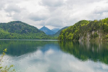 Neuschwanstein kalesi ve Hohenschwangau kalesi yakınlarındaki Alp ormanları. Bahar zamanı Bavyera Alpleri, Tegelberg Dağı.