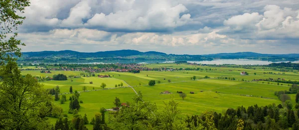 Alpesi Erdő Neuschwanstein Kastély Hohenschwangau Kastély Közelében Bajor Alpok Tavasszal — Stock Fotó