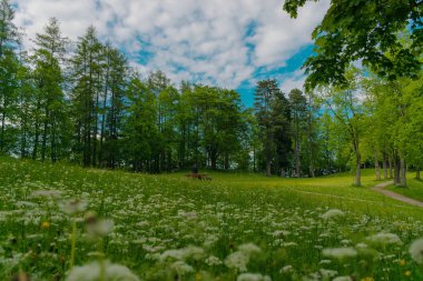 Yüksek Şato yakınlarındaki Fussen 'de Baumgarten (Burggarten). Şehir merkezinde halka açık bir park.