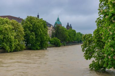 22 Mayıs 2019 - Isar Nehri, yüksek su altında. İlkbaharda açan kestaneler