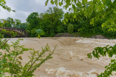 22 Mayıs 2019 - Isar Nehri, yüksek su altında. İlkbaharda açan kestaneler