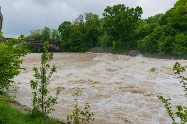 22 Mayıs 2019 - Isar Nehri, yüksek su altında. İlkbaharda açan kestaneler