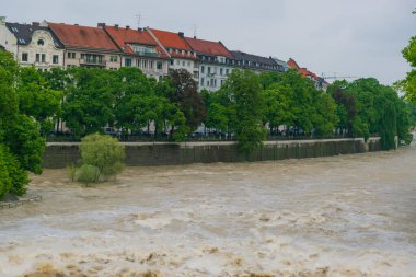 22 Mayıs 2019 - Isar Nehri, yüksek su altında. İlkbaharda açan kestaneler