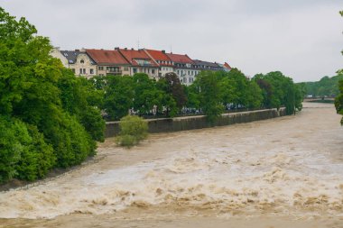 22 Mayıs 2019 - Isar Nehri, yüksek su altında. İlkbaharda açan kestaneler
