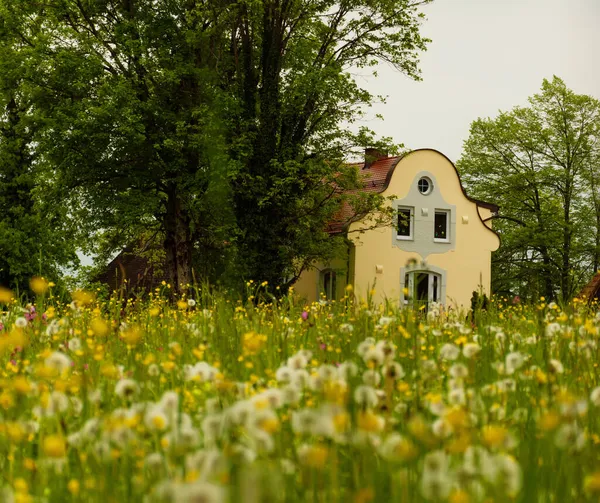 Maio 2019 Fussen Alemanha Bairro Residencial Pequena Cidade Fussen Perto — Fotografia de Stock
