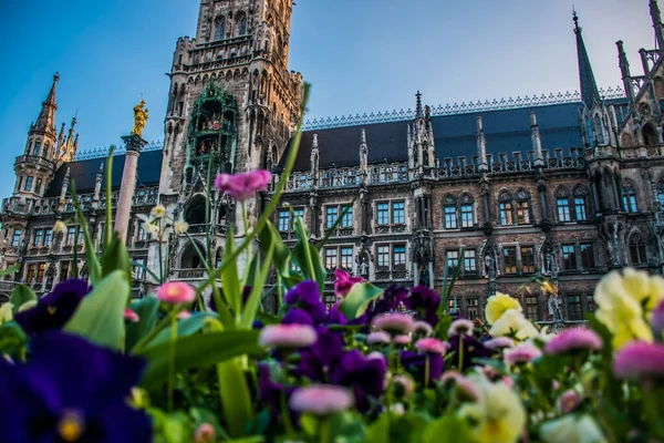 2019年5月22日ドイツ ミュンヘン マリエンプラッツに春の花を咲かせます 貿易センター ニュータウンホール Neues Rathaus のボケを背景に閉じます 朝の稲妻 — ストック写真