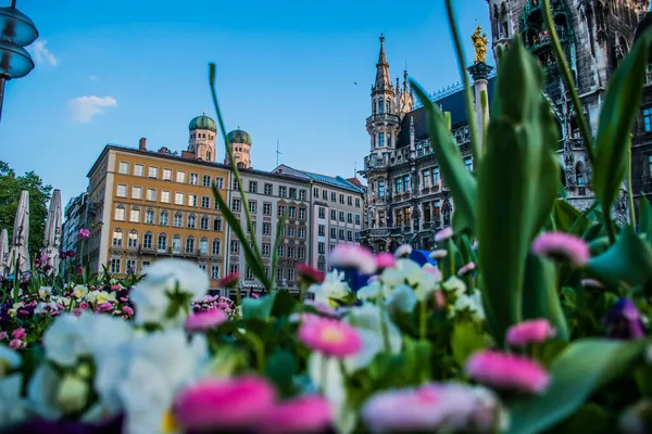 Mai 2019 München Frühlingsblumenbeet Marienplatz Nahaufnahme Bokeh Foto Von Blumen — Stockfoto