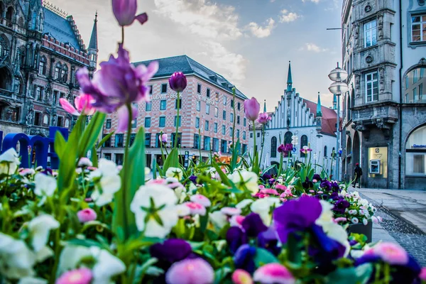 Maja 2019 Monachium Niemcy Wiosna Kwitnie Marienplatz Zbliżenie Bokeh Zdjęcie — Zdjęcie stockowe