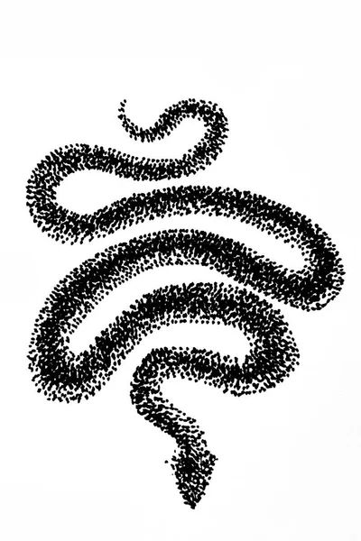 Ręcznie Rysowany Rysunek Węża Czarny Długopis — Zdjęcie stockowe