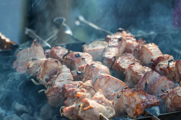 Zbliżenie Niektórych Szaszłyków Mięsa Grillowanych Grillu — Zdjęcie stockowe