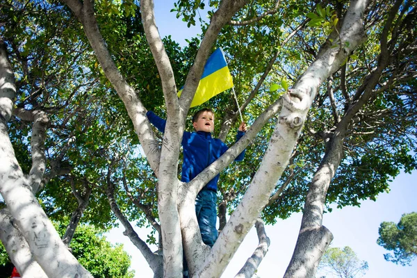リマソル キプロス 2022年3月5日 ウクライナにおけるロシアの侵略に対する抗戦争抗議の間 小さな男の子はウクライナの旗と木の上にとどまる  — 無料ストックフォト