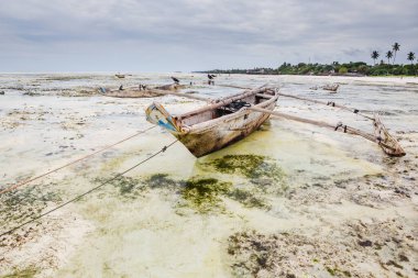 Otantik Afrika kayığı güzel turkuaz okyanus sahilinde, Zanzibar adasında.