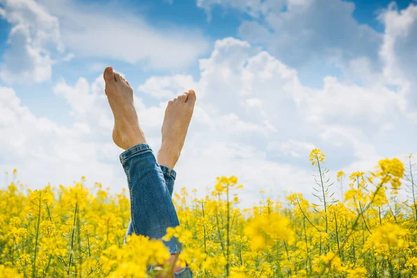 Relaxe Campo Flores Amarelas Horário Verão Ensolarado — Fotografia de Stock