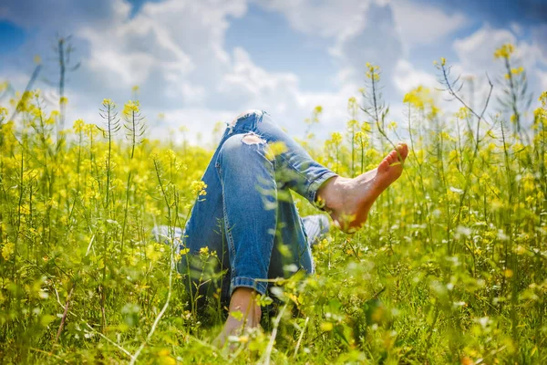 Relájese Campo Flores Amarillas Tiempo Soleado Verano — Foto de Stock