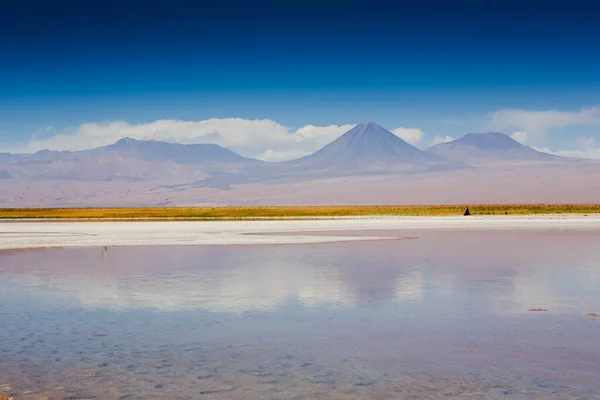 Erstaunlicher See Hochland Von Chile Der Nähe Von San Pedro — Stockfoto