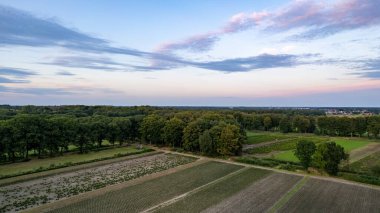 Hava manzaralı yeşil alan karası ya da manzarası. Tarım çiftliği, ev inşaatı, köy dahil. O gayrimenkul veya mülk. Konut paylaşımı, geliştirme, satış veya yatırım için arsa.
