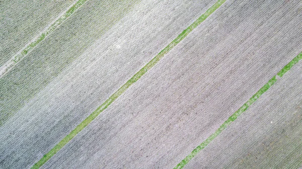 Piękne naturalne wzory pól uprawnych na wsi w lecie. Widok z lotu ptaka. Wysokiej jakości zdjęcie — Zdjęcie stockowe