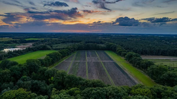 Land or landscape of green field in aerial view. Include agriculture farm, house building, village. That real estate or property. Plot of land for housing subdivision, development, sale or investment.