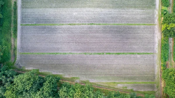 Schöne natürliche Muster von Feldern in der Landschaft im Sommer. Drohne aus der Luft, Vogelperspektive. Hochwertiges Foto — Stockfoto