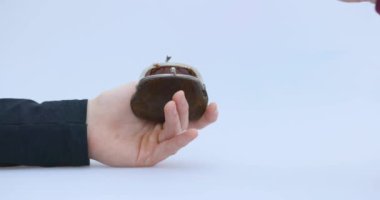 Erkek el, kripto para, Litecoin veya LTC, küçük kahverengi bir cüzdana koyar, kripto veya kripto para ile kazanma veya ödeme resmeder ve tasarruf, alıkoyma veya topallama